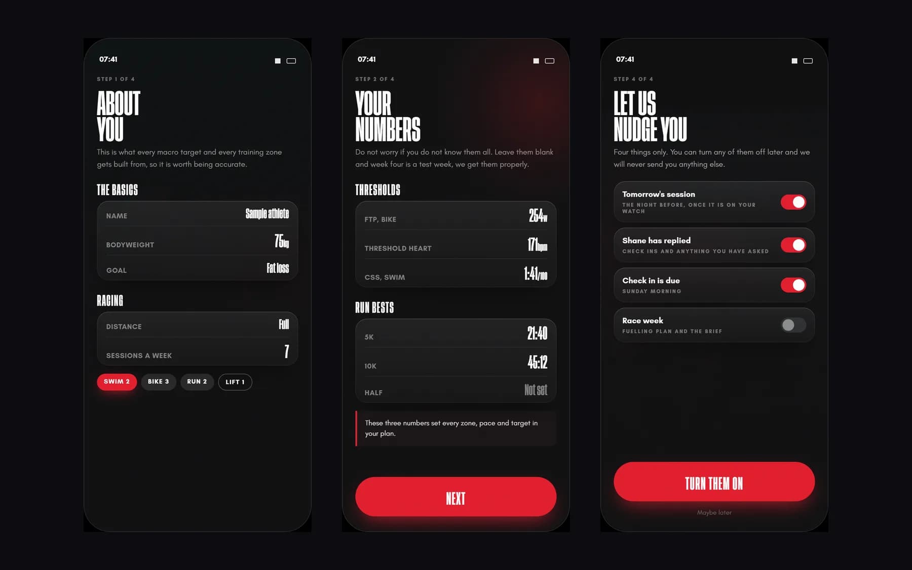 Skulpt screen 5